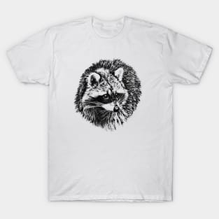 Raccoon T-Shirt